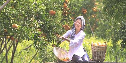 Du lịch miền Tây mùa nào đẹp? 9 Trải nghiệm tham quan thú vị, Traveloka VN
