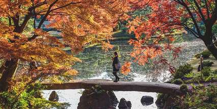 Tokyo mùa thu nên đi ngắm cảnh ở đâu? Top 8 địa điểm dành cho bạn, Traveloka VN
