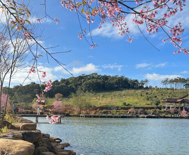 Hồ Đam Bri sở hữu mặt hồ phẳng lặng soi bóng rừng thông xanh ngát.