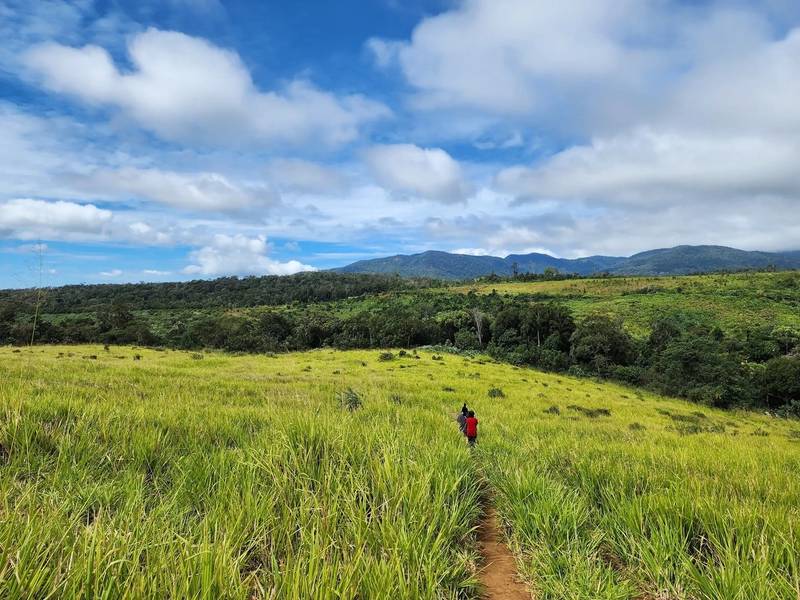 Khung cảnh tuyệt đẹp tại đồi cỏ Măng Đen. 