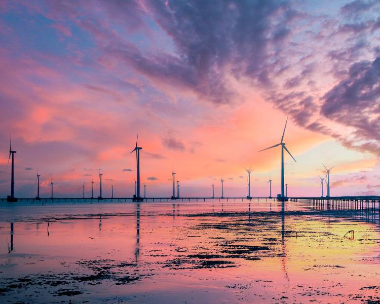 Bạn có biết, tại Bạc Liêu có những cánh đồng quạt gió không?