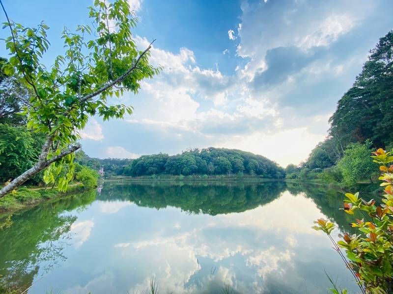 Hồ Đăk Ke được bao quanh bởi rừng thông bạt ngàn.