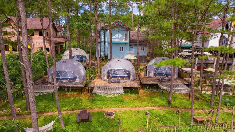 Khuôn viên xanh mát giữa rừng thông của De Vivre Homestay Mang Den