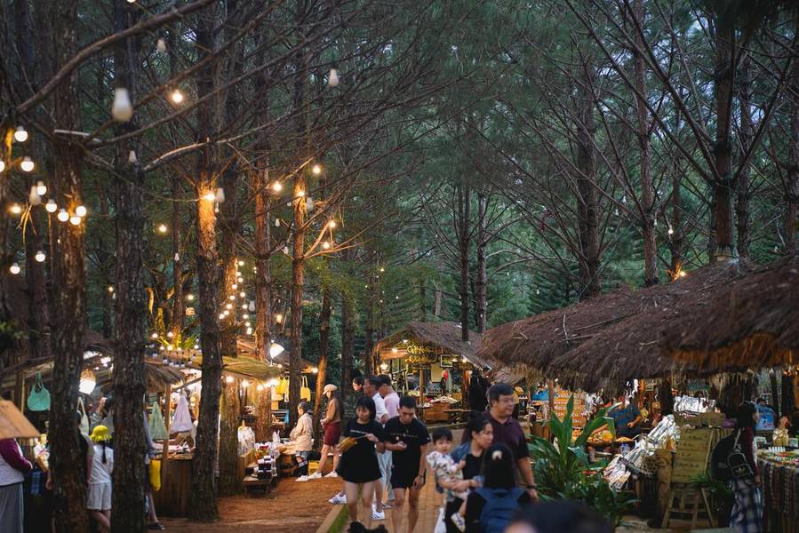 Khung cảnh chợ phiên giữa rừng thông bạt ngàn