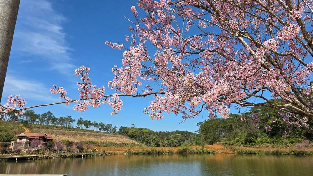 Hồ Đam Bri trong lành và yên ả giữa núi rừng Măng Đen