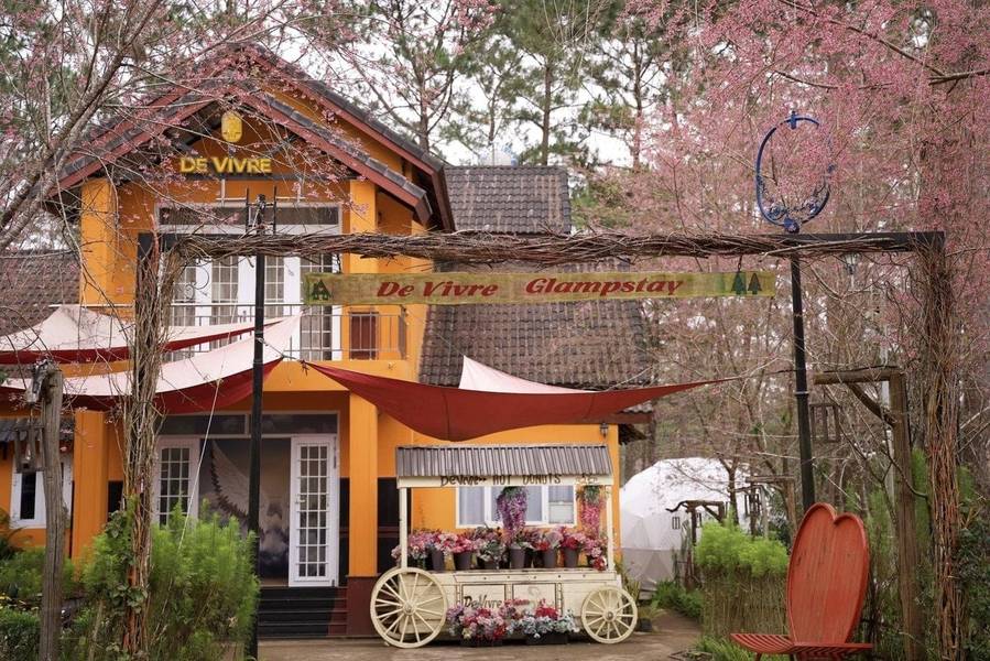 De Vivre Homestay Măng Đen khoác lên mình sắc hồng rực rỡ của hoa đào mùa xuân