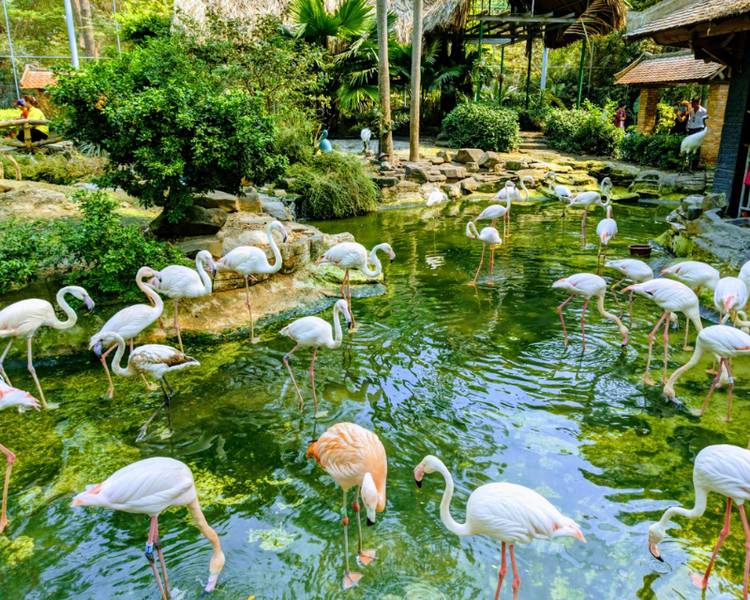 thao-cam-vien-sai-gon