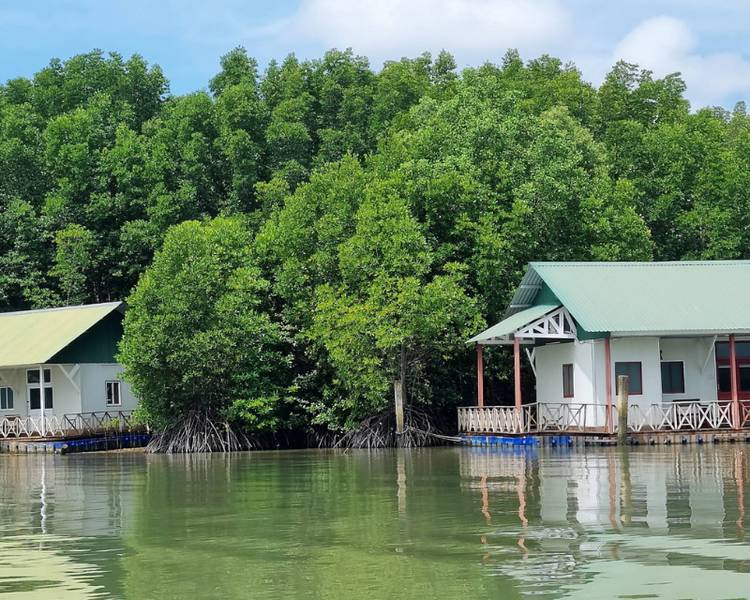 khu-du-lich-sinh-thai-dan-xay