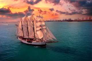 Royal Albatross Sunset Dinner Cruise: Dining, Views & What to Expect, Xperience Team