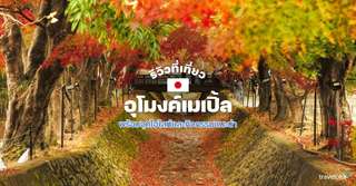 [รีวิว] เที่ยวอุโมงค์เมเปิ้ล พร้อมจุดไฮไลท์และกิจกรรมแนะนำ, Traveloka TH