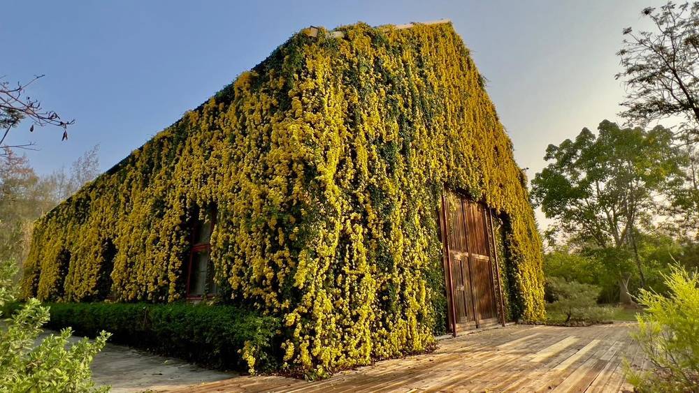 Review the birder's lodge cafe Khaoyai