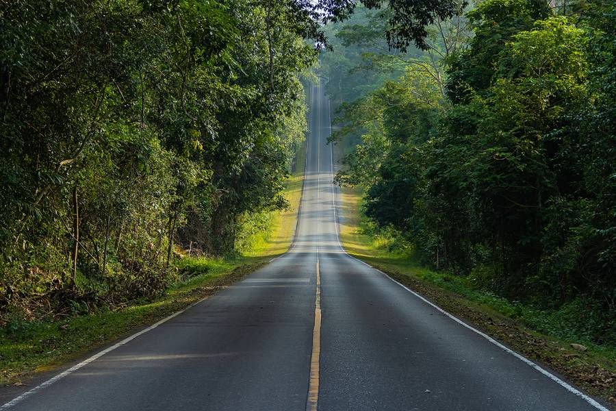 Khao Yai National Park