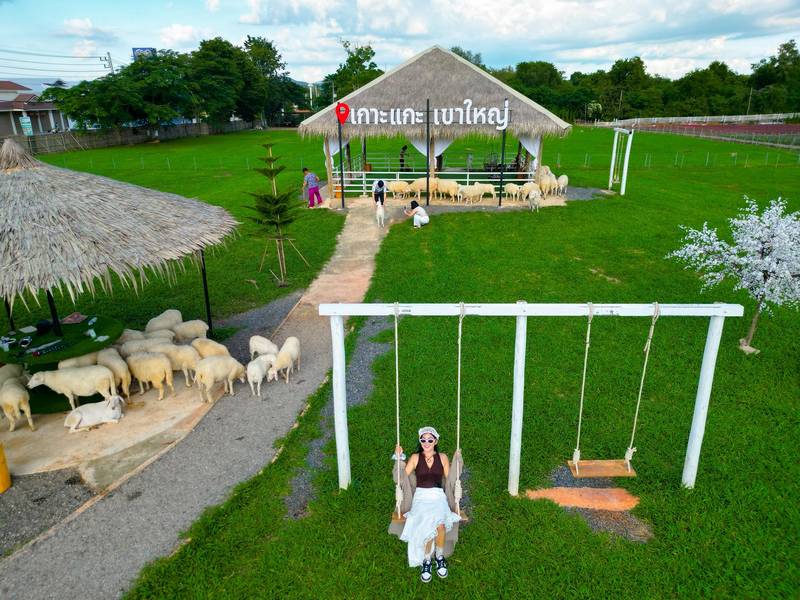 Sheep Cafe Khao Yai