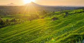 10 Tempat Wisata di Tabanan yang Murah Meriah, Travel Bestie