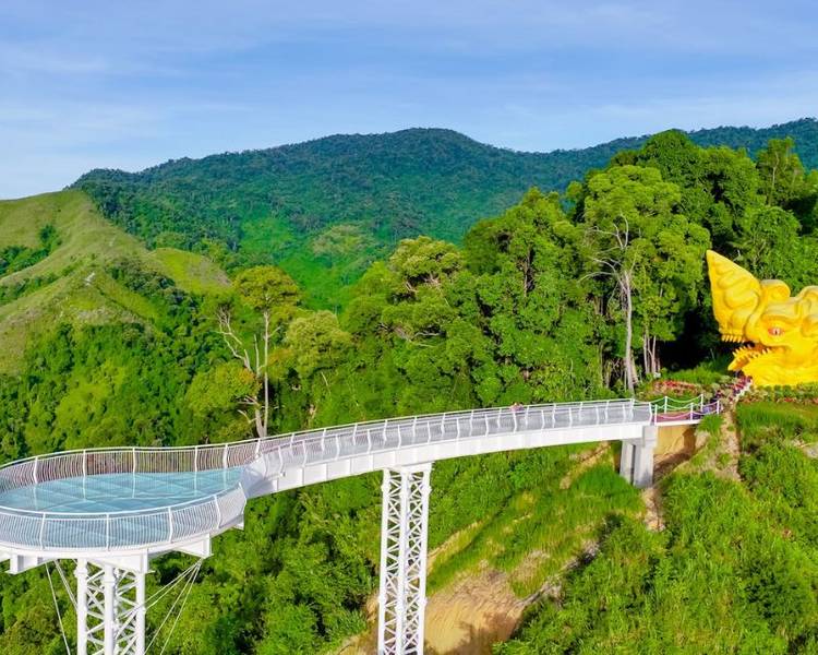 Cầu kính Ngọc Rồng thu hút rất nhiều du khách đến check - in.