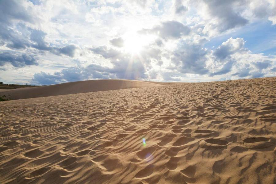 Cảnh sắc ấn tượng của những đồi cát Tottori khiến du khách mê mẩn. 