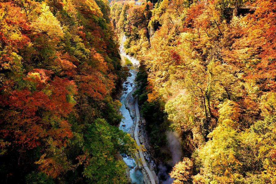 Tohoku nổi tiếng với cảnh sắc thiên nhiên tuyệt đẹp.