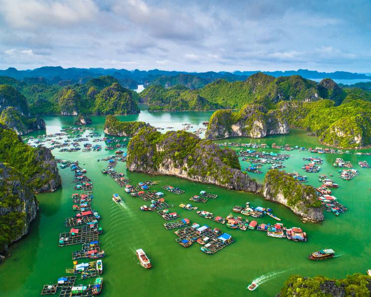 Đảo Cát Bà là thiên đường biển đảo của Hải Phòng, nổi bật với cảnh sắc nguyên sơ, hệ sinh thái phong phú và trải nghiệm nghỉ dưỡng đa dạng.