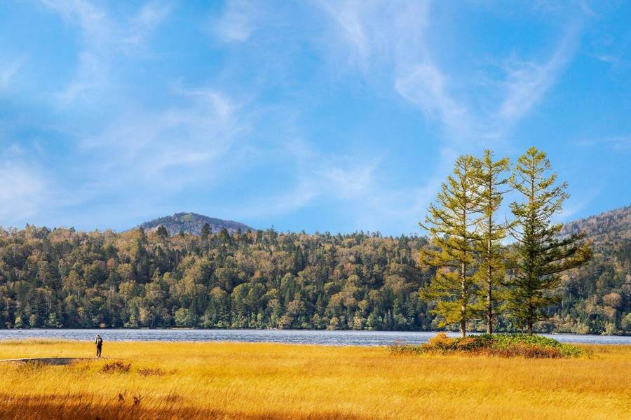 Công viên Quốc gia Oze  nổi tiếng với đầm lầy rộng lớn.