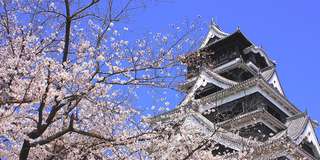 Kumamoto: Cẩm nang khám phá thành phố Gấu từ A - Z , Traveloka VN