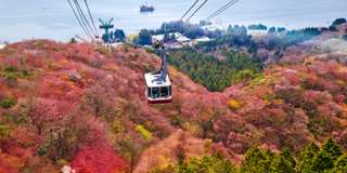 Cẩm nang du lịch Hakone 2026: Hướng dẫn chi tiết từ A - Z, Traveloka VN
