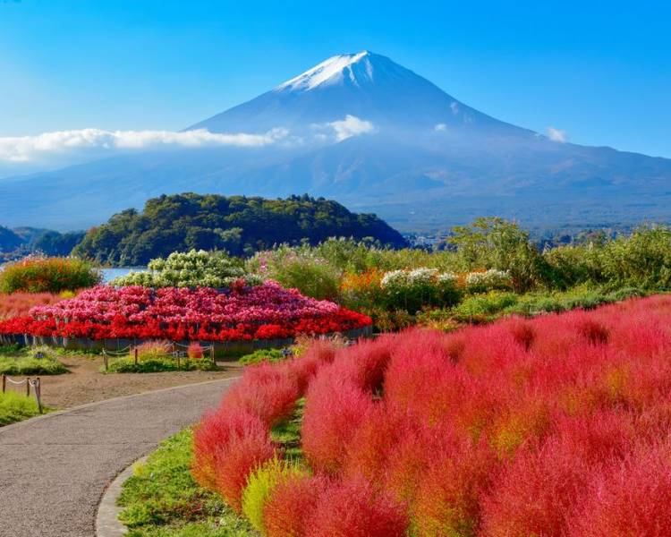 Oishi Park là một trong những điểm ngắm núi Phú Sĩ đẹp nhất ở Nhật Bản, nằm bên bờ hồ Kawaguchi thanh bình.