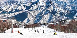 Du lịch Niigata: Khám phá thành phố cảng xinh đẹp ở Nhật Bản, Traveloka VN