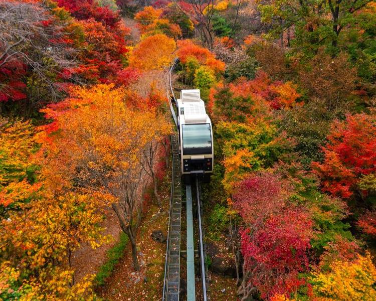 Rừng Hwadam được xem là điểm ngắm lá mùa thu đẹp nhất Hàn Quốc.