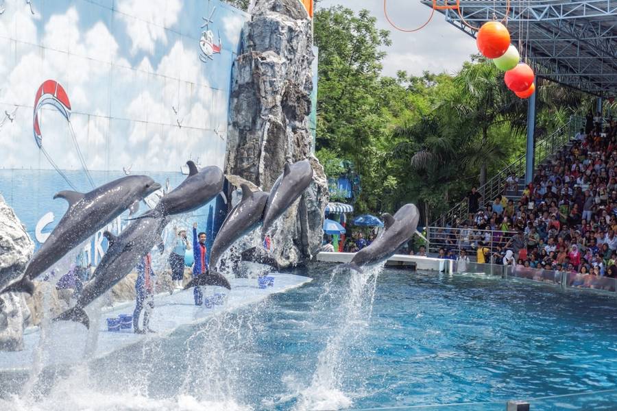 Safari World Bangkok nổi tiếng với các chương trình trình diễn đặc sắc. 