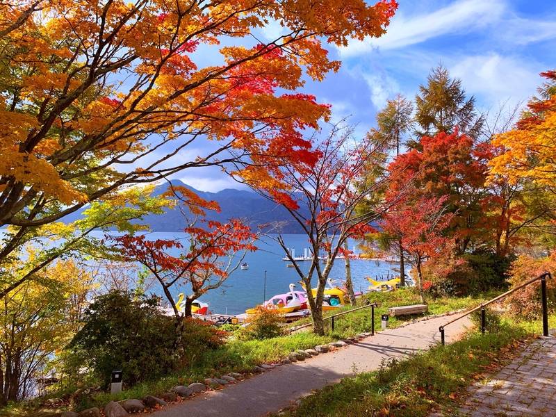 Mùa thu là thời điểm đẹp nhất để đi du lịch Nikko. 