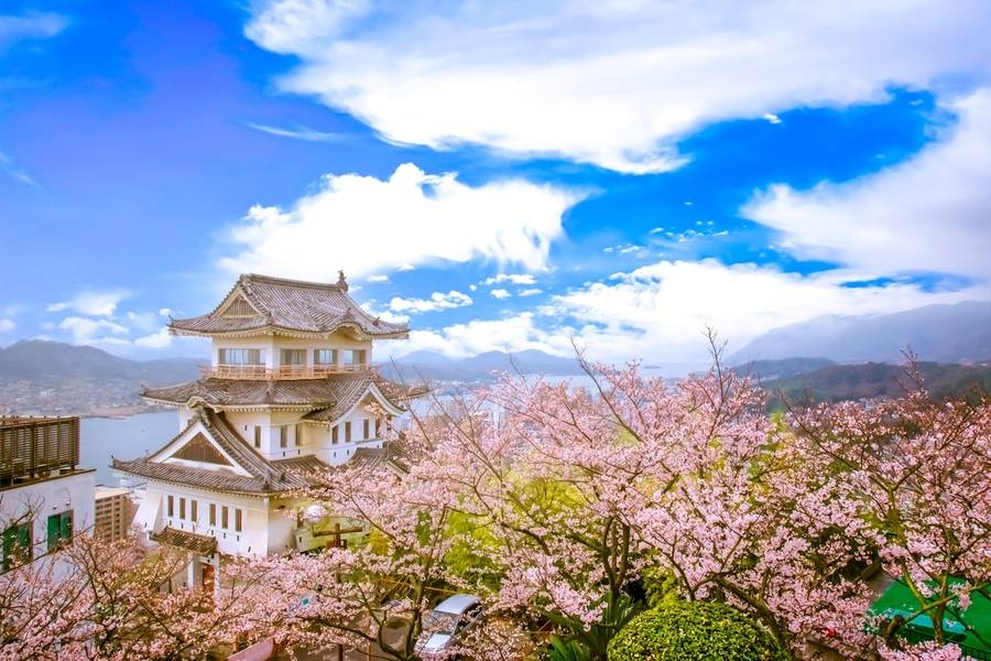 Mùa xuân là một trong những thời điểm lý tưởng để khám phá vùng Chugoku