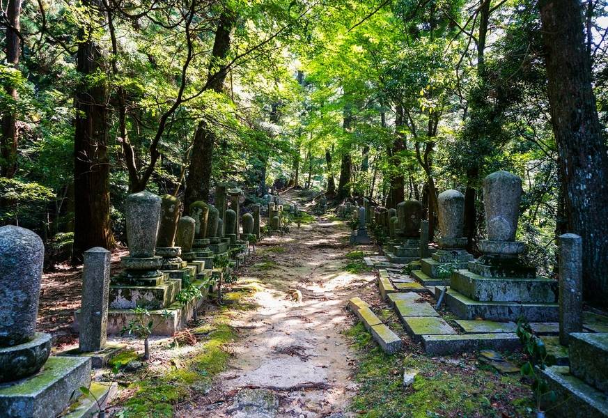 Du khách trải nghiệm đi bộ giữa khung cảnh núi rừng bình yên. 