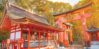 Mount Hiei Kyoto: Điểm ngắm mùa thu tuyệt đẹp , Traveloka VN