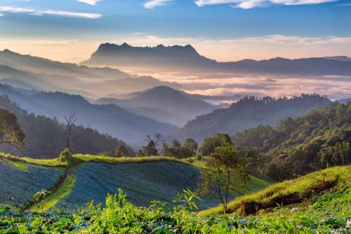 เที่ยวเชียงใหม่