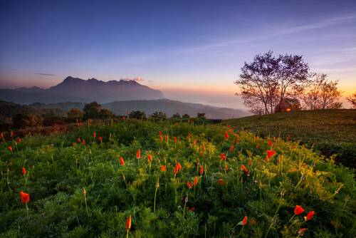 ที่เที่ยวเชียงใหม่ 2025 ดอยแม่ตะมาน สันป่าเกี๊ยะ