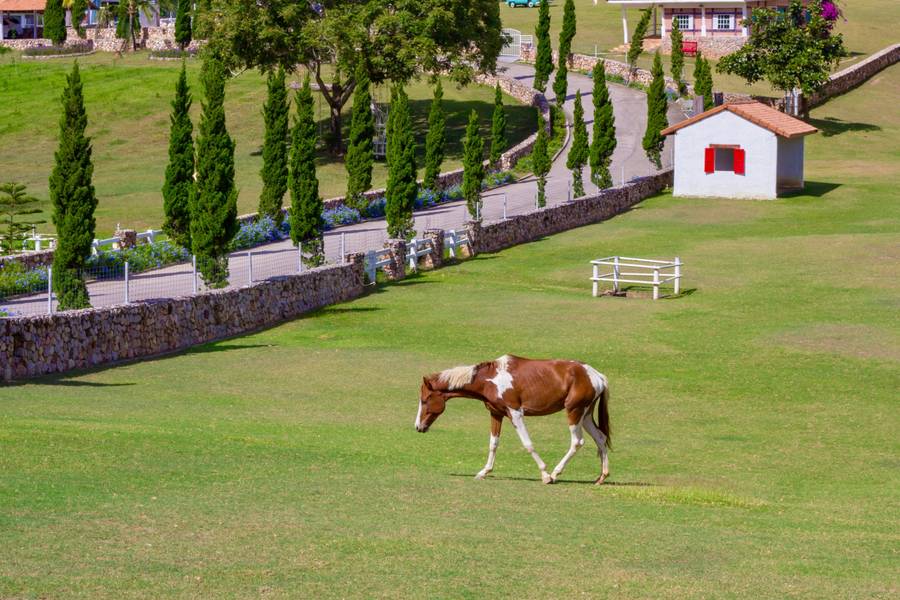 สวนผึ้ง