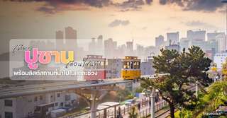 เที่ยวปูซาน เดือนไหนดี? - ที่เที่ยวกิจกรรมแนะนำในแต่ละฤดูกาล, Traveloka TH