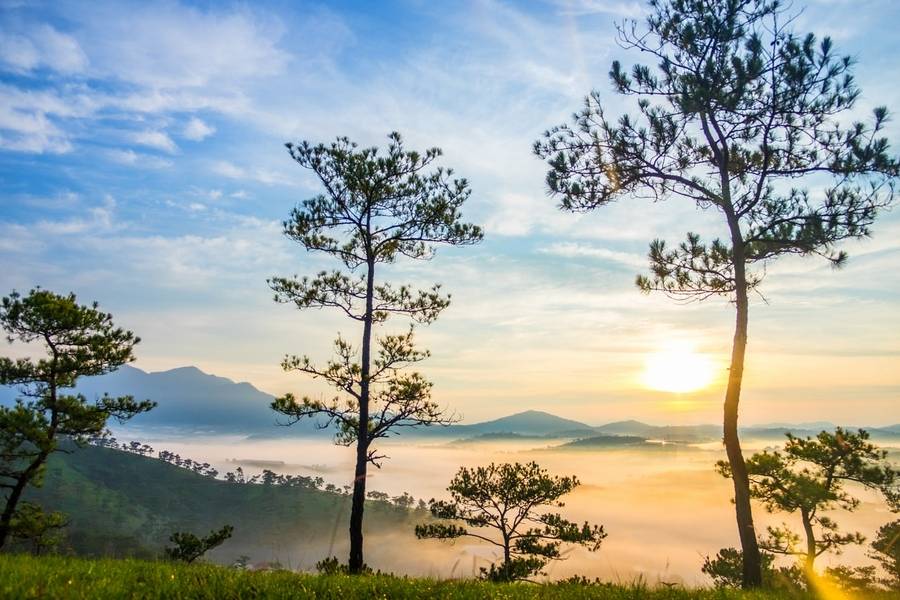 Khung cảnh bình minh trên đồi Đa Phú. 