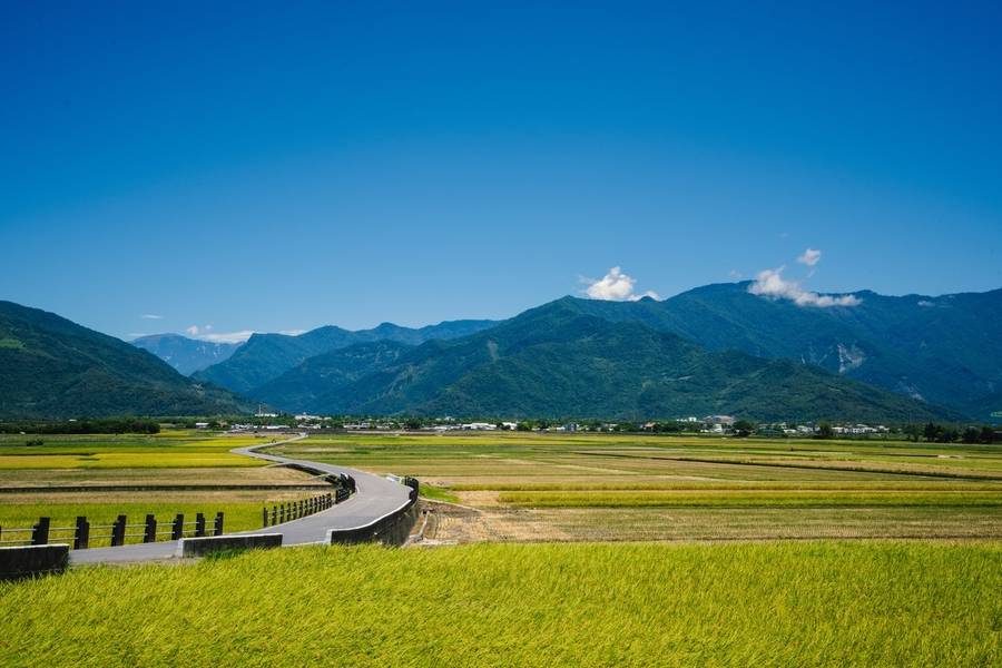 Bá Lãng Đại Đạo cuốn hút du khách nhờ vẻ đẹp mộng mơ và bình dị. 