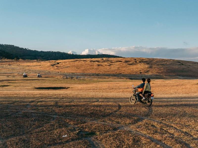 Khung cảnh ấn tượng của đồi cỏ Masara vào mùa cỏ cháy. 