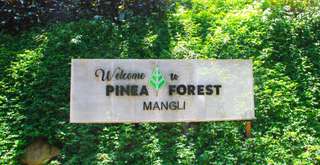 Pinea Forest: Surga Hutan Pinus untuk Liburan Santai dan Penuh Petualangan, Xperience Team