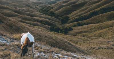 Bukit Tanarara: Panorama Bukit Pelangi yang Memukau di Sumba, Xperience Team