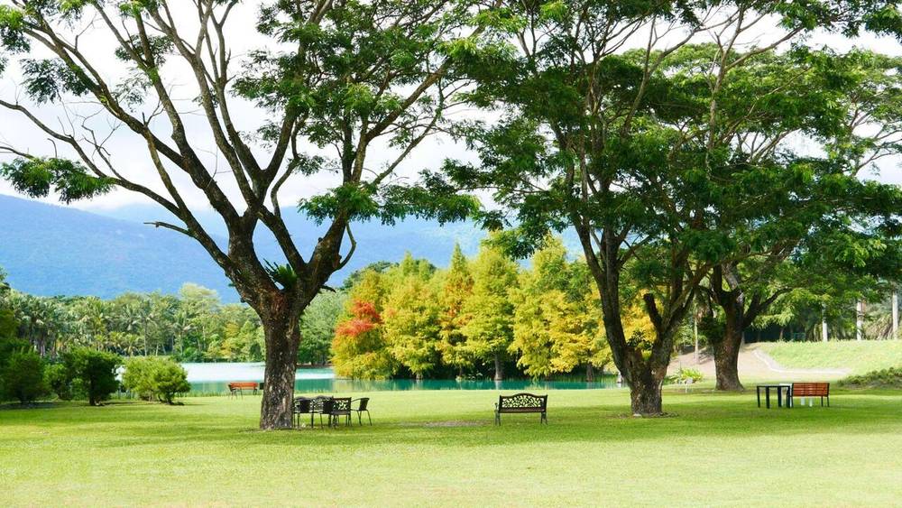 Hoa Liên Đài Loan nổi tiếng với phong cảnh thiên nhiên hữu tình, hoang sơ. 