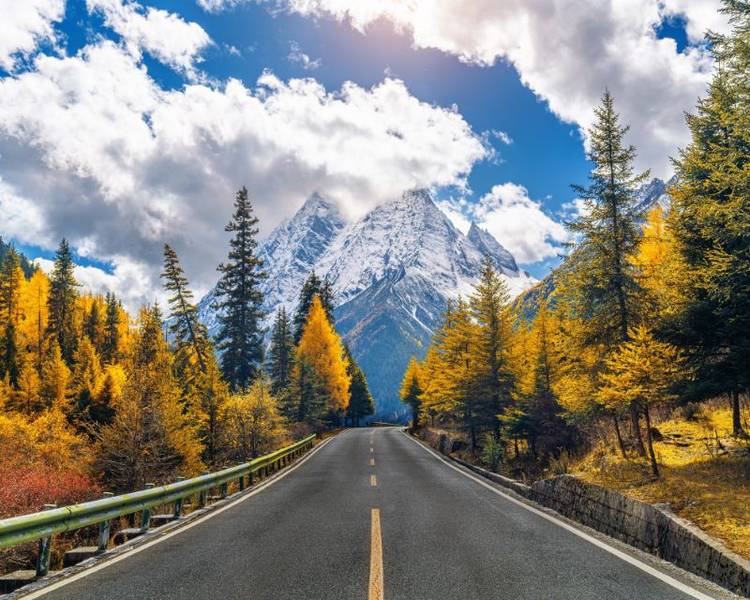 Vào mùa thu núi Tứ Cô Nương khoác lên mình một chiếc áo vàng rực rỡ và thơ mộng.