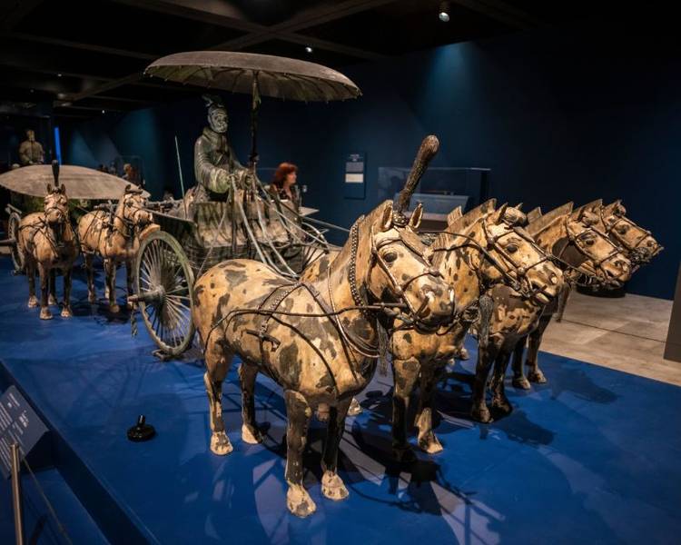 Chiêm ngưỡng cỗ xe và ngựa bằng đồng tại Bảo tàng của khu Lăng mộ Tần Thủy Hoàng.