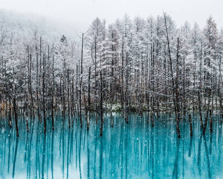 Blue Pond là một địa điểm mà bạn không nên bỏ qua khi đi du lịch Biei vào mùa đông.