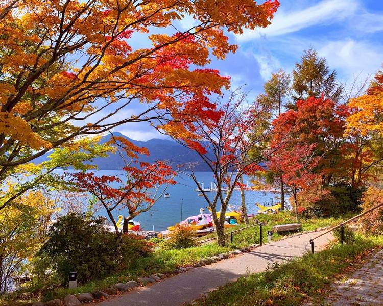 Ngắm nhìn khung cảnh mùa thu đầy lãng mạn trong các tour Nhật Bản tháng 11.