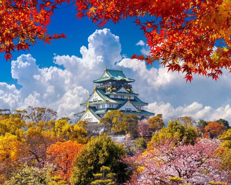 Khi trải nghiệm tour Nhật Bản tháng 11 tại Osaka, bạn sẽ được chiêm ngưỡng khung cảnh mùa thu đầy lãng mạn.