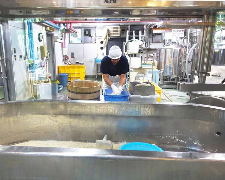 Trải nghiệm khám phá quy trình làm phô mai truyền thống ở Furano.