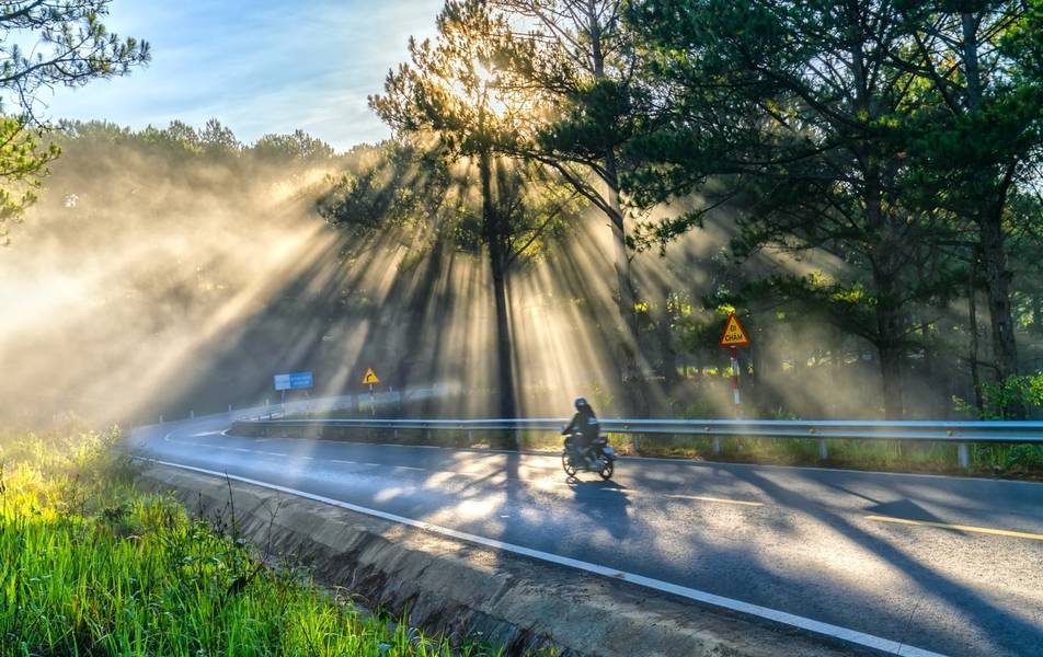 Cung đường đèo Đà Lạt đầy sương vào sáng sớm.